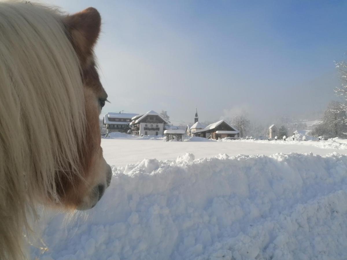 Schullerhof 호텔 헤르마고 외부 사진