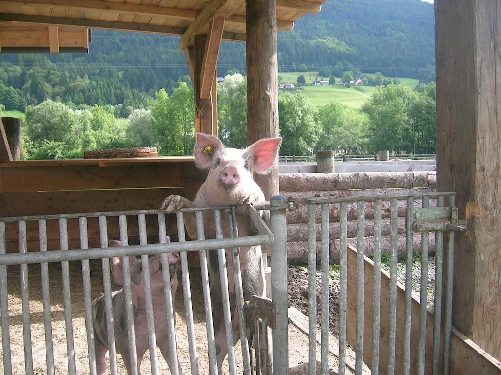 Schullerhof 호텔 헤르마고 외부 사진